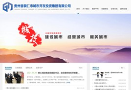 普安城市开发投资集团有限公司